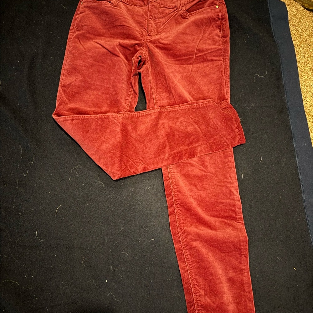 Women's Cranberry velvet Jeans